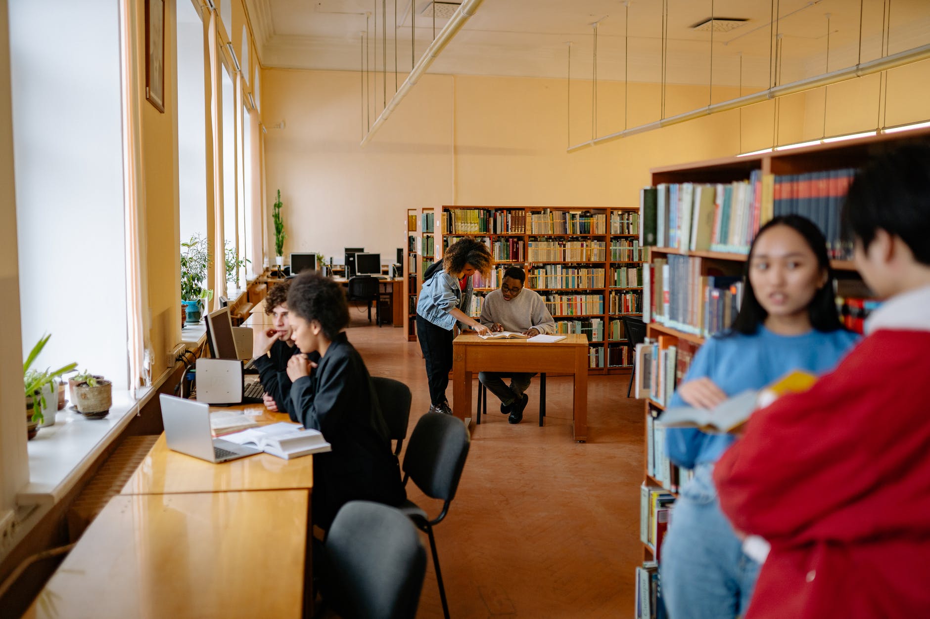 students studying inside the library, university life